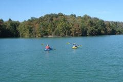 Kayaks